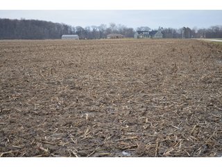 Property photo 60 - 175 Acres Offered in 5 Tracts - Tontogany, Ohio Farm Land Auction